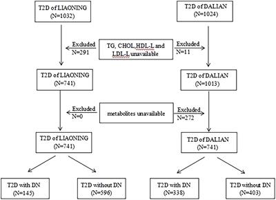 Association of amino acids related to urea cycle with risk of diabetic nephropathy in two independent cross-sectional studies of Chinese adults